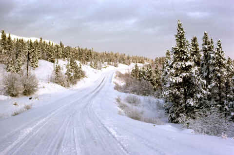 s winter road 420.jpg (286895 bytes)